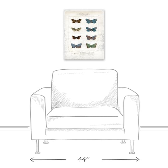 Butterfly Study 16" x 20" Canvas Wall Art